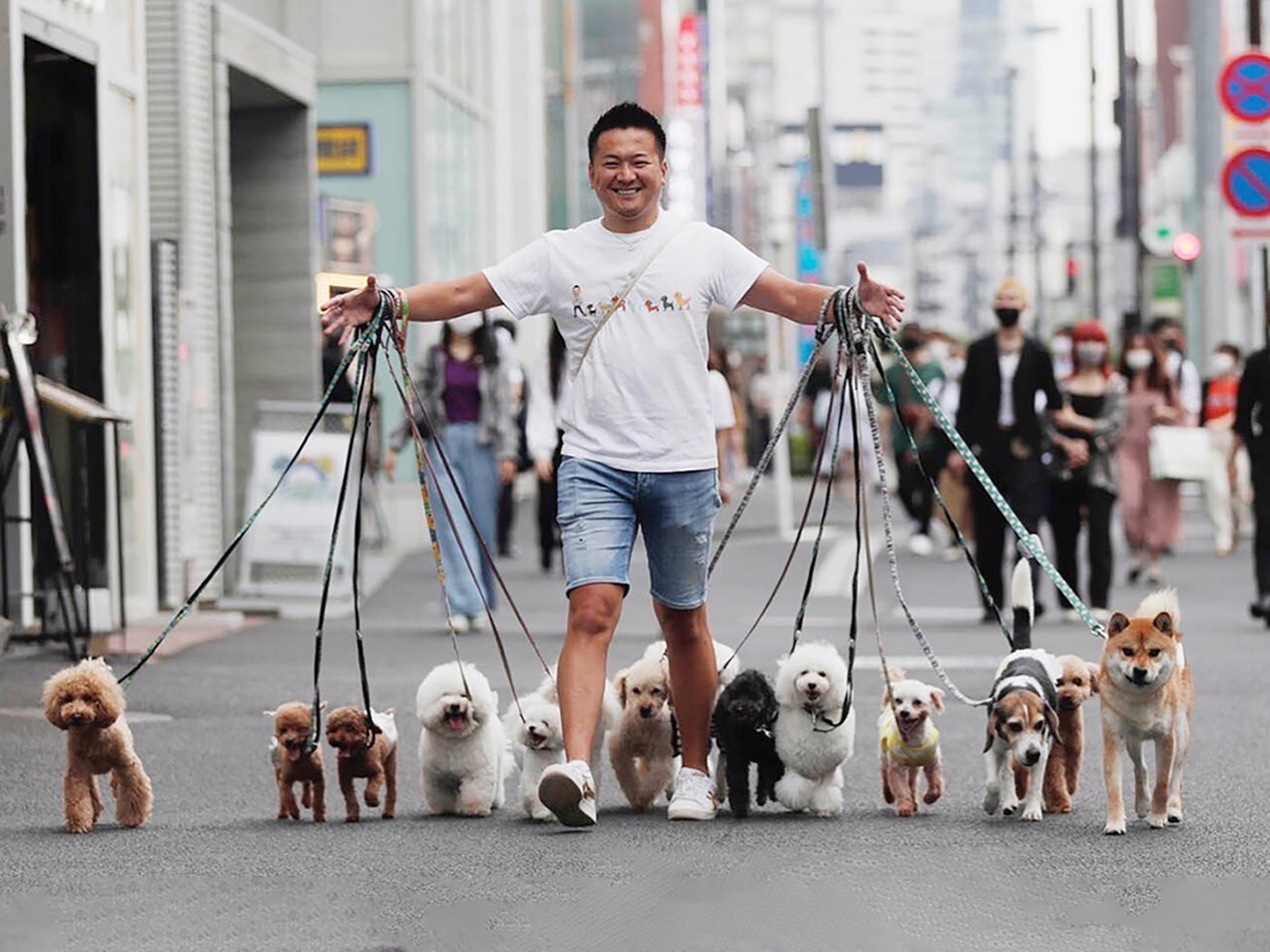 お散歩遠足